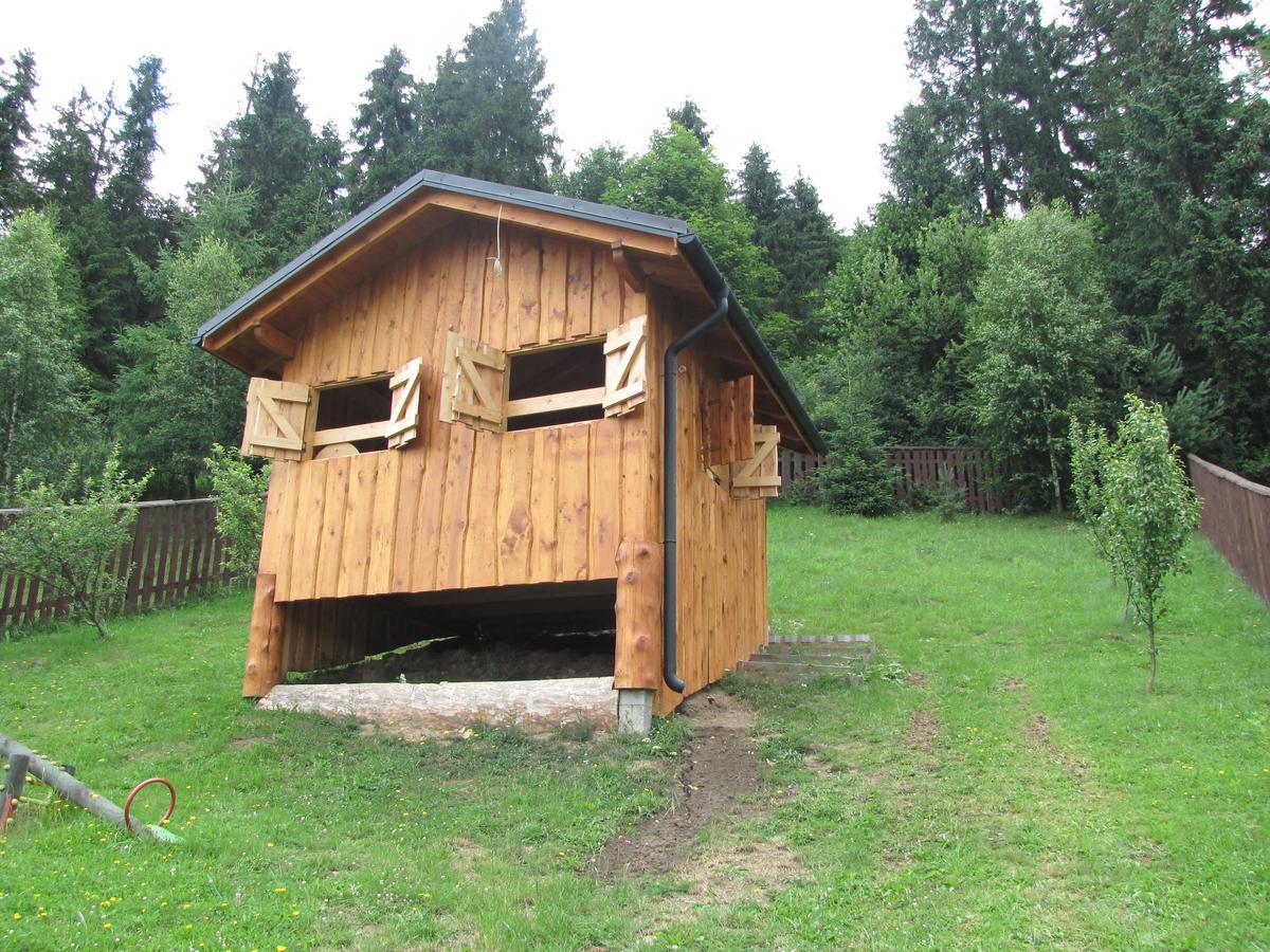 Pensjonat I Restauracja Nowak Lapsze Niżne Exterior foto